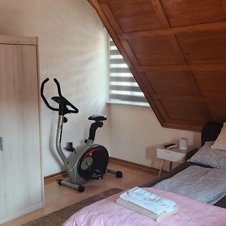 Ela Vital Ferienwohnung St. Blasien Exterior photo