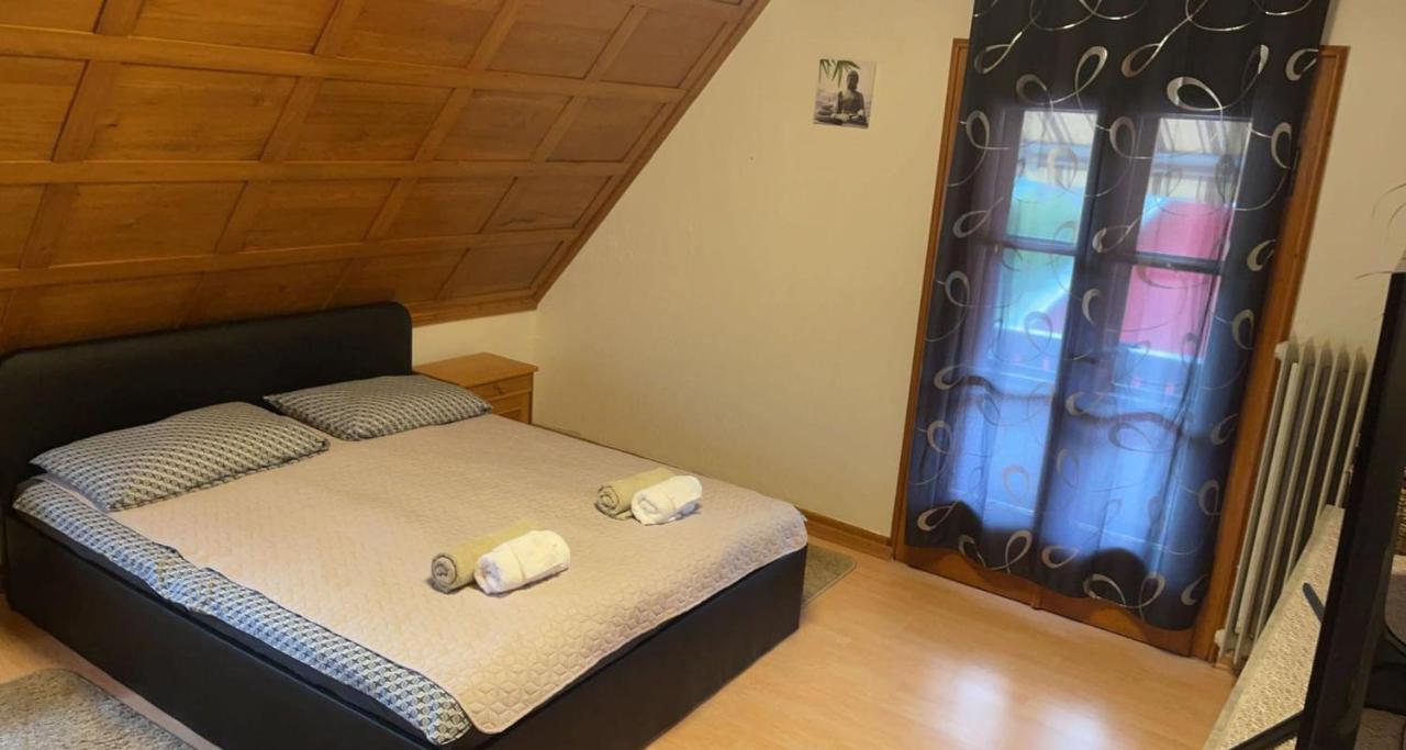 Ela Vital Ferienwohnung St. Blasien Exterior photo